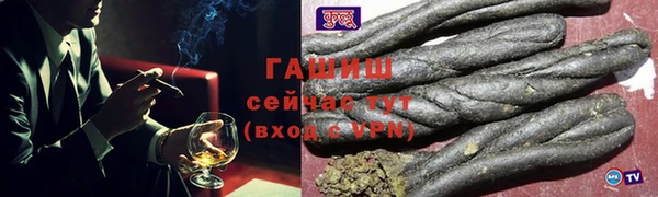 мдпв Козельск