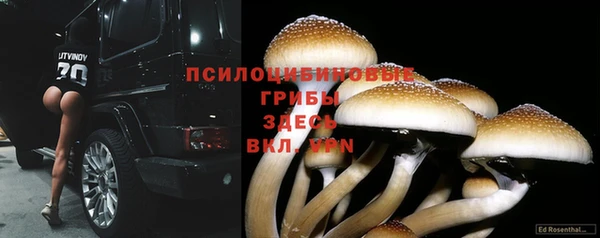 экстази Кодинск