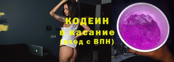 мдпв Козельск