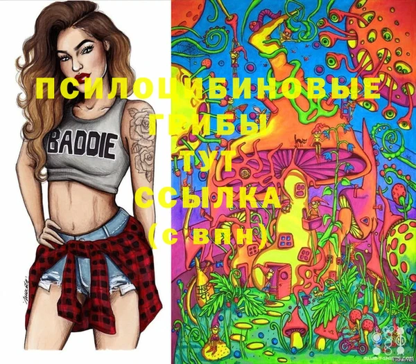 мдпв Козельск