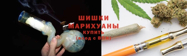 мдпв Козельск