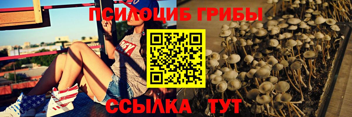 Галлюциногенные грибы мухоморы  Псилоцибиновые грибы прущие грибы  Балашиха 